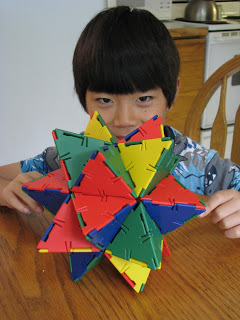 Stellated Icosahedron